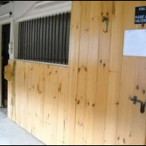 stalls in barn